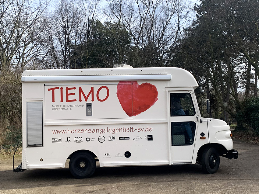 Tiemo ....
